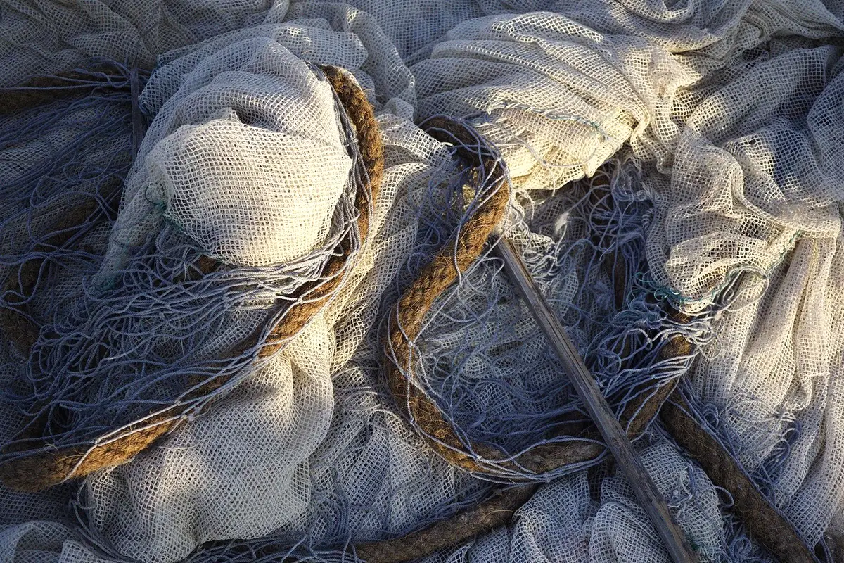 Garden & fruit nets
