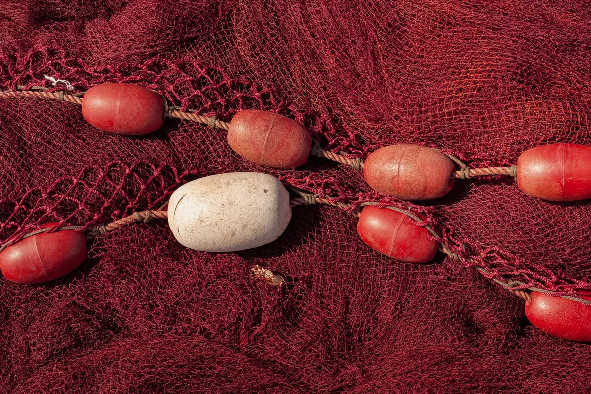 Nets & netting
